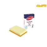 فیلتر هوا کاسپین FPA1519 MVM X22